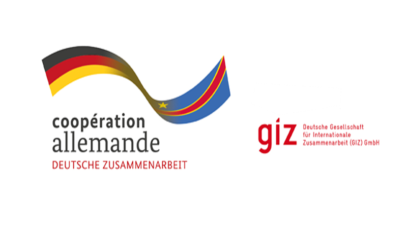 logo de Giz